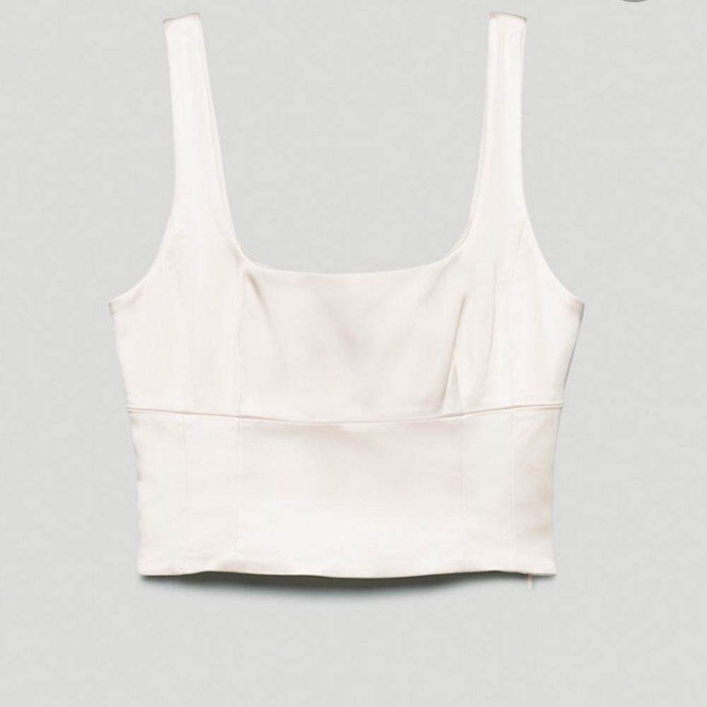 Shine Bustier aritzia